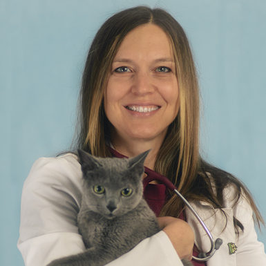 veterinarians Archives | Animal Care Clinic of Fox Valley